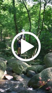 BIB:  <button type="button" onclick="openModal(28053250)" class="btn btn-primary btn-sm float-right" data-toggle="modal" data-target=".modal-high-quality">
                <i class="fa fa-download"></i> Download
                </button>